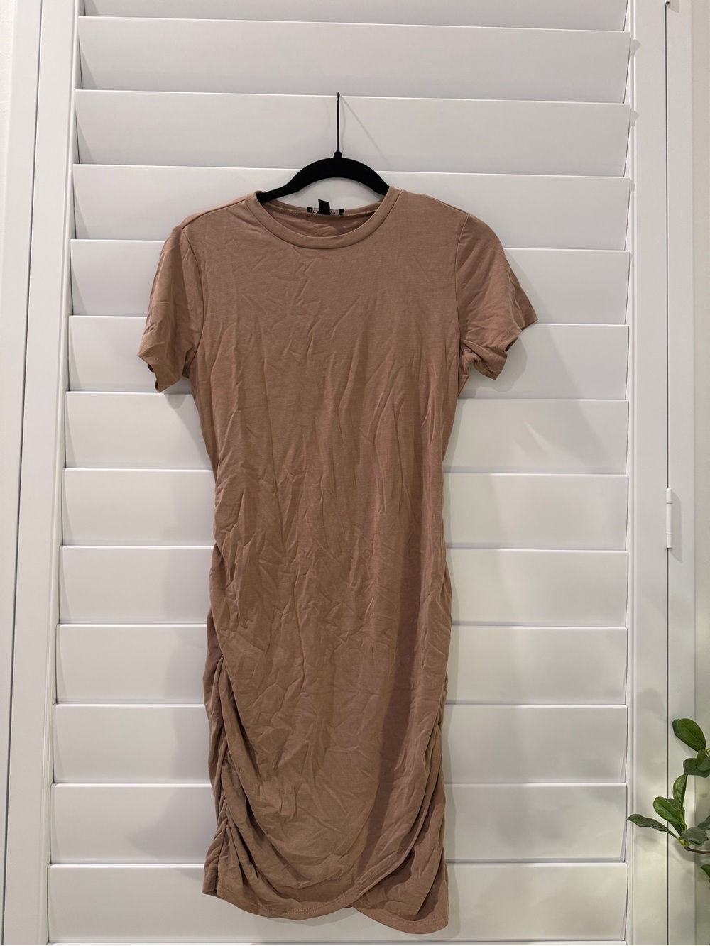Express Tan Short Sleeve Crewneck Top